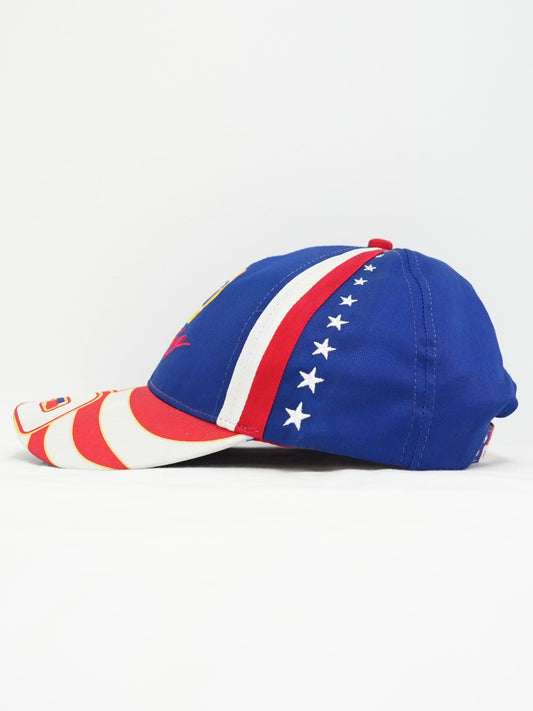 USED MACHINE COLLECTION 90's NAPA RACING No.15 CAP