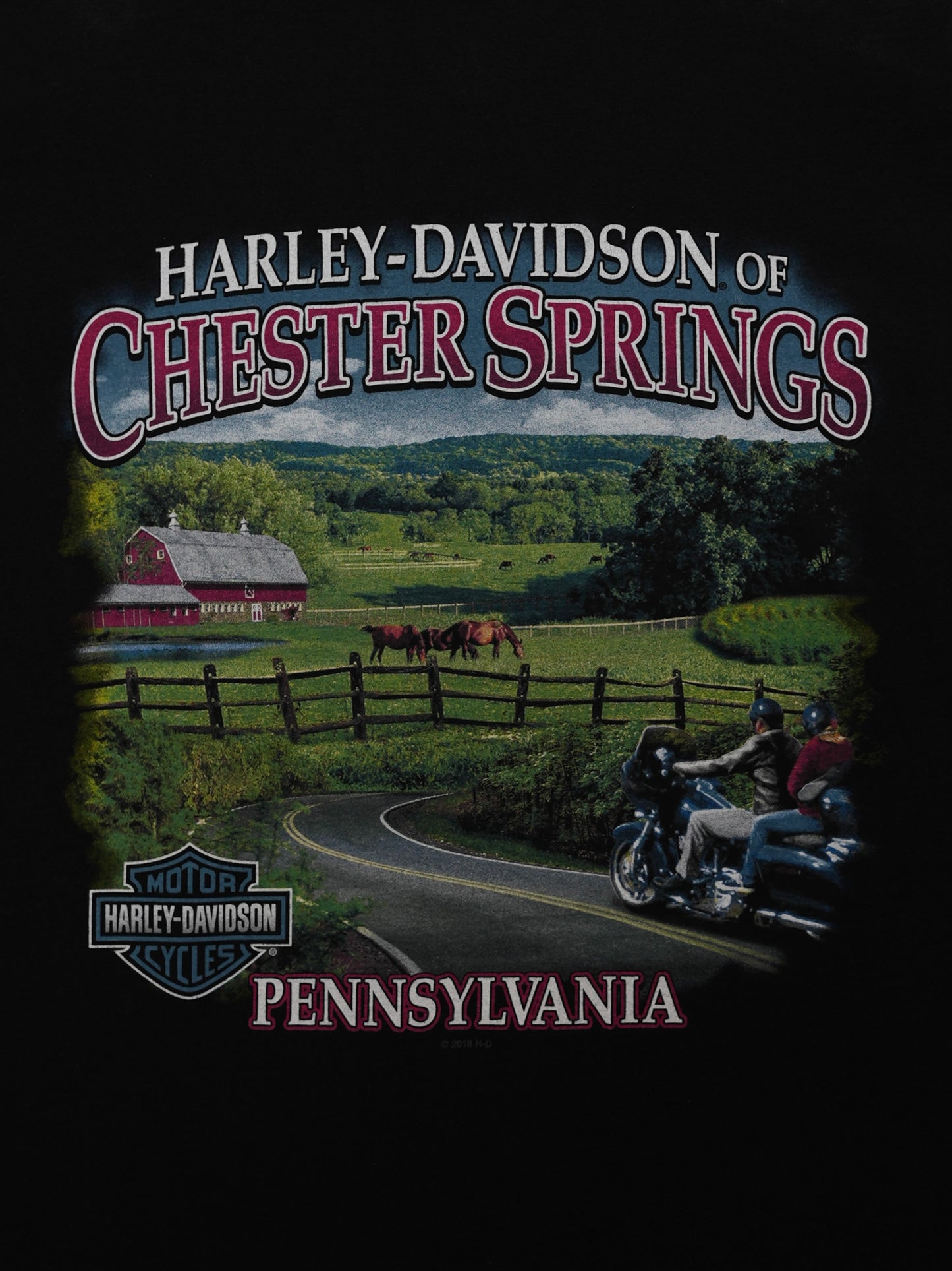 USED MACHINE COLLECTION 2018 HARLEY-DAVIDSON PIN-UP GIRL T-SHIRT