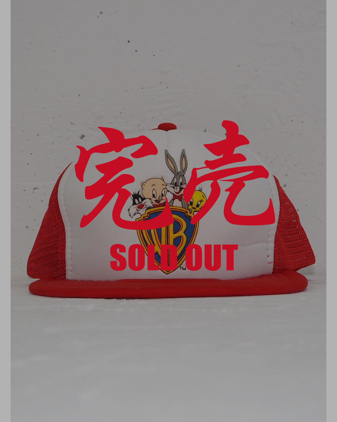 ARCHIVE COLLECTION 80's WARNER BROTHERS CAP