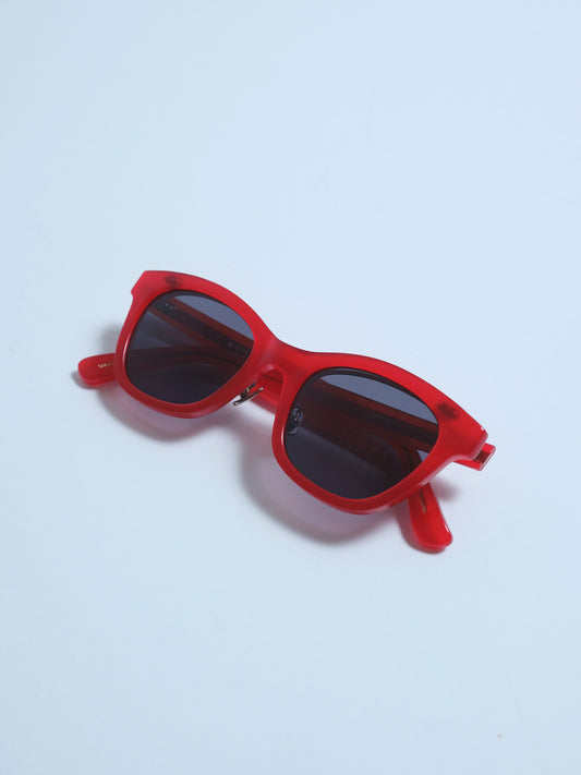 kearny exclusive for PROSHOP HATTORI hobby RED×GRAY LENS