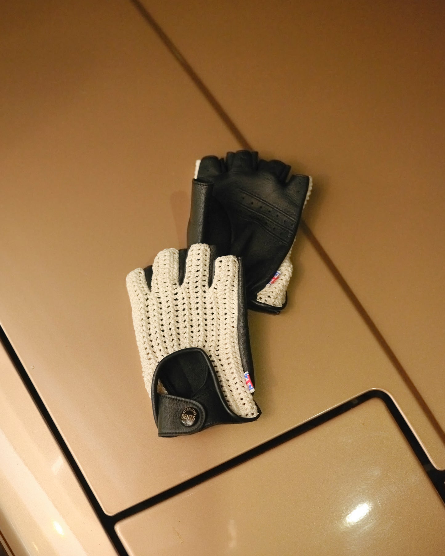 DENTS exclusive for PROSHOP HATTORI