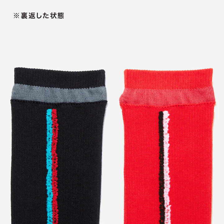 CHICSTOCKS × MASATAKA HATTORI ドライビングソックス